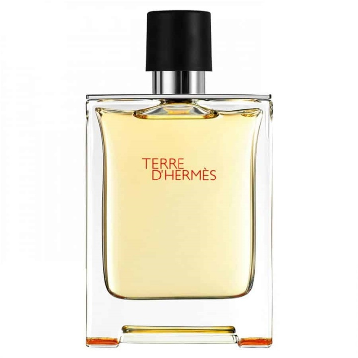 Hermes Terre d\'Hermes Edt 50ml in the group BEAUTY & HEALTH / Fragrance & Perfume / Perfumes / Perfume for him at TP E-commerce Nordic AB (38-58448)