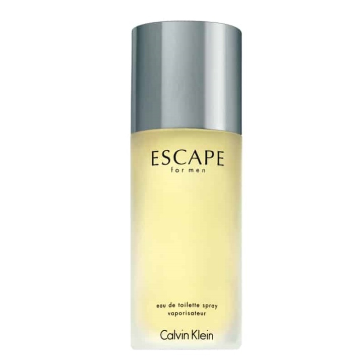 calvin klein escape for him