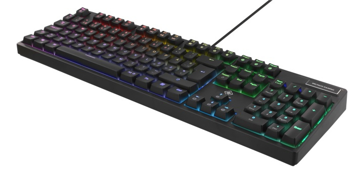 DELTACO GAMING keyboard, Red switches, RGB, black in the group COMPUTERS & PERIPHERALS / GAMING / Keyboards at TP E-commerce Nordic AB (38-61850)