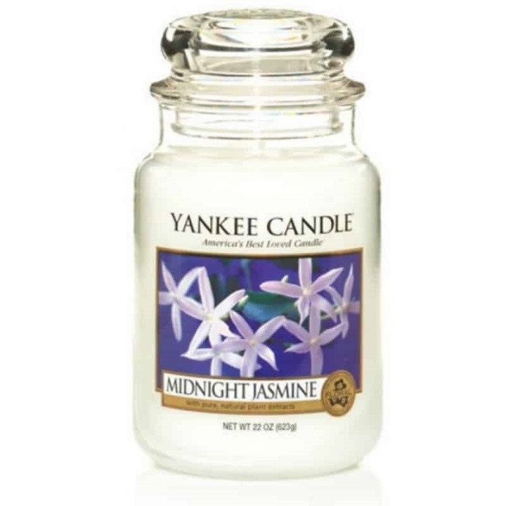 midnight jasmine perfume