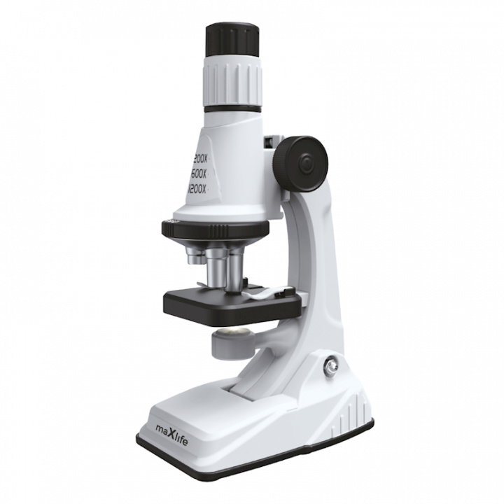 Maxlife microscope MXMS-100 white in the group TOYS, KIDS & BABY PRODUCTS / Toys / Experiment & DIY at TP E-commerce Nordic AB (38-97636)