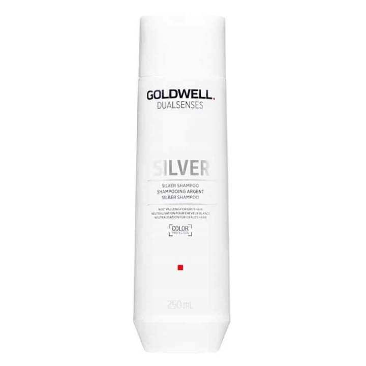 Goldwell Dualsenses Silver Shampoo 250ml in the group BEAUTY & HEALTH / Hair & Styling / Hair care / Hair Dye / Silver shampoo at TP E-commerce Nordic AB (A10950)