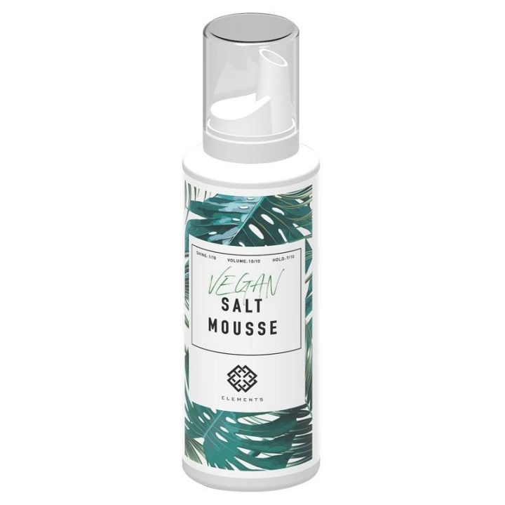 E+46 Elements Salt Mousse 200ml in the group BEAUTY & HEALTH / Hair & Styling / Hair styling / Hair mousse at TP E-commerce Nordic AB (C15062)