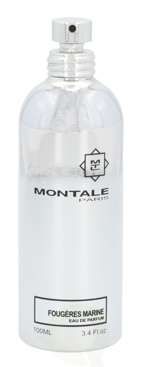 Montale Fougeres Marine Edp Spray 100 ml in the group BEAUTY & HEALTH / Fragrance & Perfume / Perfumes / Unisex at TP E-commerce Nordic AB (C35878)