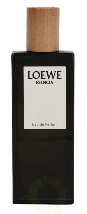 Loewe Esencia Pour Homme Edp Spray 50 ml in the group BEAUTY & HEALTH / Fragrance & Perfume / Perfumes / Perfume for him at TP E-commerce Nordic AB (C36314)