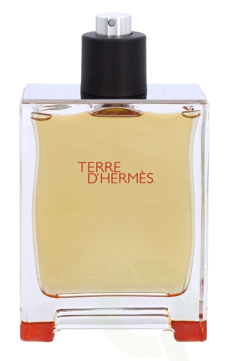 Hermes Terre D\'Hermes Edp Spray 200 ml in the group BEAUTY & HEALTH / Fragrance & Perfume / Perfumes / Perfume for him at TP E-commerce Nordic AB (C36389)