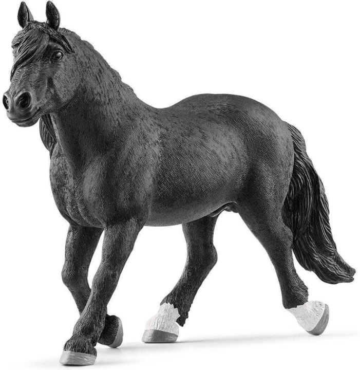 Schleich Horse Club 13958 Norikerhingst in the group TOYS, KIDS & BABY PRODUCTS / Toys / Figures & Miniatures at TP E-commerce Nordic AB (C47858)