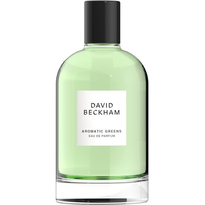 David Beckham Aromatic Greens Edp 100ml in the group BEAUTY & HEALTH / Fragrance & Perfume / Perfumes / Perfume for him at TP E-commerce Nordic AB (C51933)