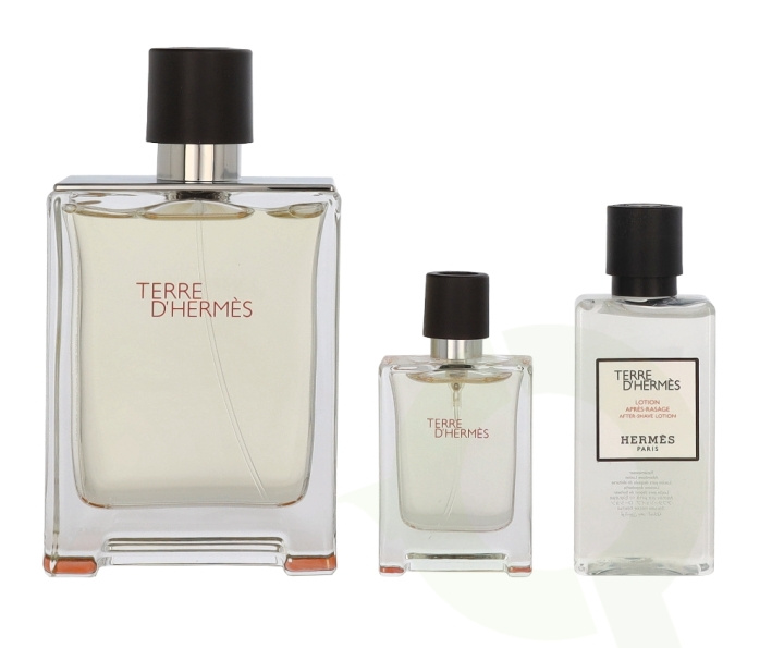 Hermes Terre D\'Hermes Giftset 152.5 ml Edt Spray 100ml/Edt Miniature 12,5ml/Aftershave 40ml in the group BEAUTY & HEALTH / Gift sets / Gift sets for him at TP E-commerce Nordic AB (C55517)