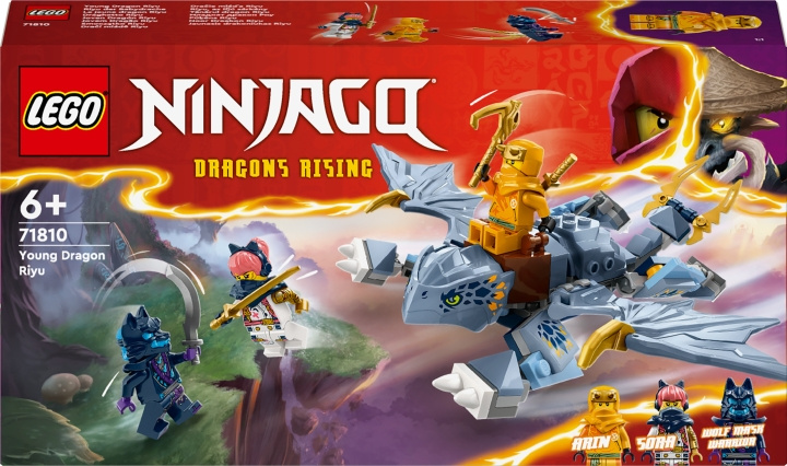 LEGO Ninjago 71810 - Little Dragon Riyu in the group TOYS, KIDS & BABY PRODUCTS / Toys / Building toys / Lego at TP E-commerce Nordic AB (C58537)