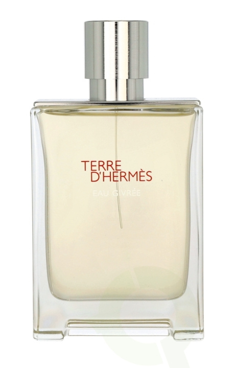 Hermes Terre D\'Hermes Eau Givree Edp Spray 100 ml in the group BEAUTY & HEALTH / Fragrance & Perfume / Perfumes / Perfume for him at TP E-commerce Nordic AB (C65388)