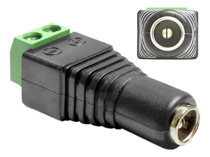 DeLOCK Adapter DC 5.5 x 2.1 mm female > Terminal Block 2 pin in the group HOME, HOUSEHOLD & GARDEN / Electricity & Lighting / electrical installation / Accessories at TP E-commerce Nordic AB (C70627)