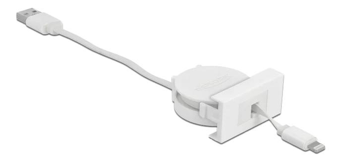 DeLOCK Easy 45 Module USB 2.0 Cable USB Type-A to 8 Pin Lightning in the group SMARTPHONE & TABLETS / Chargers & Cables / Adapters at TP E-commerce Nordic AB (C70659)