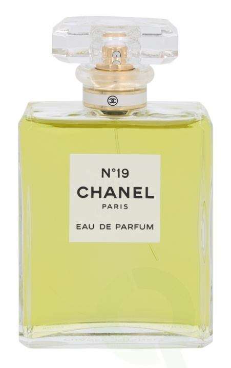 Chanel No 19 Edp Spray 100 ml in the group BEAUTY & HEALTH / Fragrance & Perfume / Perfumes / Perfume for her at TP E-commerce Nordic AB (C72144)