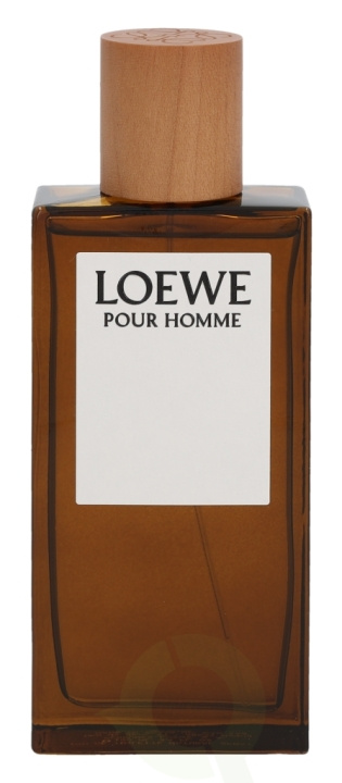 Loewe Pour Homme Edt Spray 100 ml in the group BEAUTY & HEALTH / Fragrance & Perfume / Perfumes / Perfume for him at TP E-commerce Nordic AB (C72606)