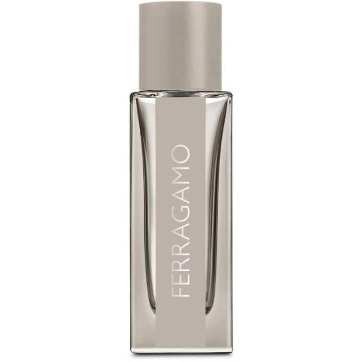 Salvatore Ferragamo Bright Leather Edt 30ml in the group BEAUTY & HEALTH / Fragrance & Perfume / Perfumes / Perfume for him at TP E-commerce Nordic AB (C74732)