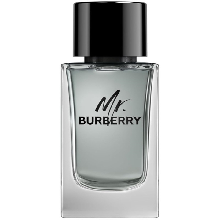 Burberry Mr Burberry Edt 100ml in the group BEAUTY & HEALTH / Fragrance & Perfume / Perfumes / Perfume for him at TP E-commerce Nordic AB (C74760)