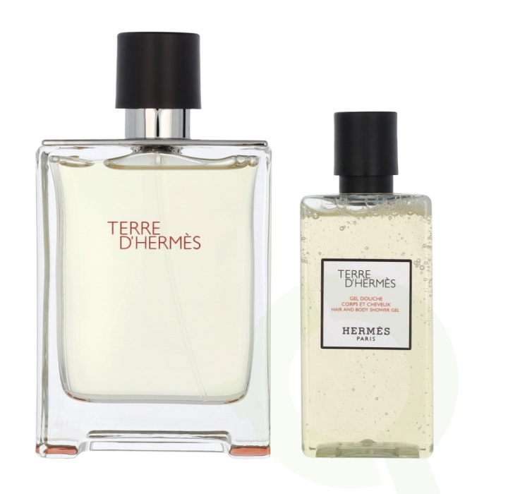 Hermes Terre D\'Hermes Giftset 180 ml Edt Spray 100ml/Hair And Body Shower Gel 80ml in the group BEAUTY & HEALTH / Gift sets / Gift sets for him at TP E-commerce Nordic AB (C74991)