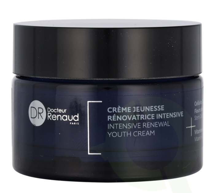 Dr. Renaud Intensive Renewal Youth Cream 50 ml in the group BEAUTY & HEALTH / Skin care / Face / Face creams at TP E-commerce Nordic AB (C75014)