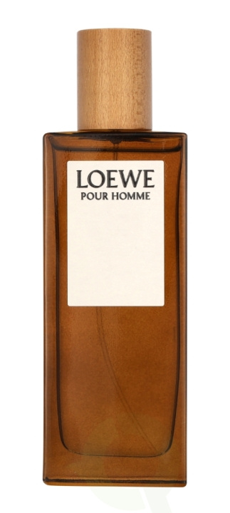 Loewe Pour Homme Edt Spray 50 ml in the group BEAUTY & HEALTH / Fragrance & Perfume / Perfumes / Perfume for him at TP E-commerce Nordic AB (C76878)