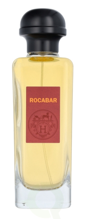 Hermes Rocabar Edt Spray 100 ml in the group BEAUTY & HEALTH / Fragrance & Perfume / Perfumes / Perfume for him at TP E-commerce Nordic AB (C77025)