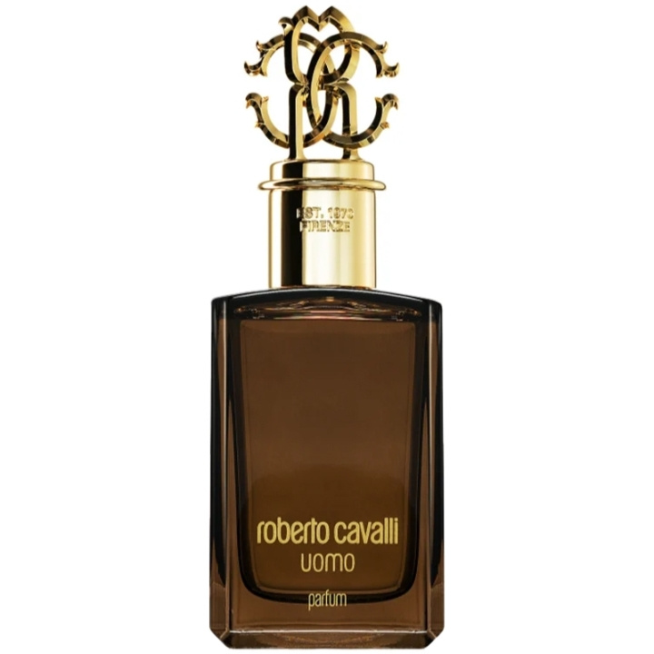 Roberto Cavalli Uomo Edp 100ml in the group BEAUTY & HEALTH / Fragrance & Perfume / Perfumes / Perfume for him at TP E-commerce Nordic AB (C78983)