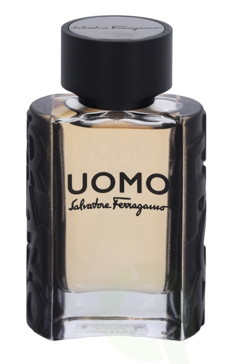 Ferragamo S. Ferragamo Uomo Pour Homme Edt Spray 30 ml in the group BEAUTY & HEALTH / Fragrance & Perfume / Perfumes / Perfume for him at TP E-commerce Nordic AB (C79123)