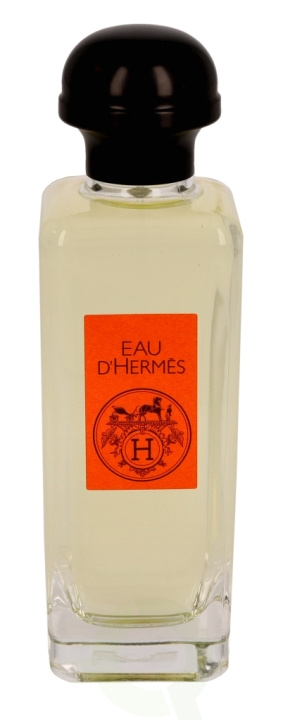 Hermes Eau D\'Hermes Edt Spray 100 ml in the group BEAUTY & HEALTH / Fragrance & Perfume / Perfumes at TP E-commerce Nordic AB (C79682)