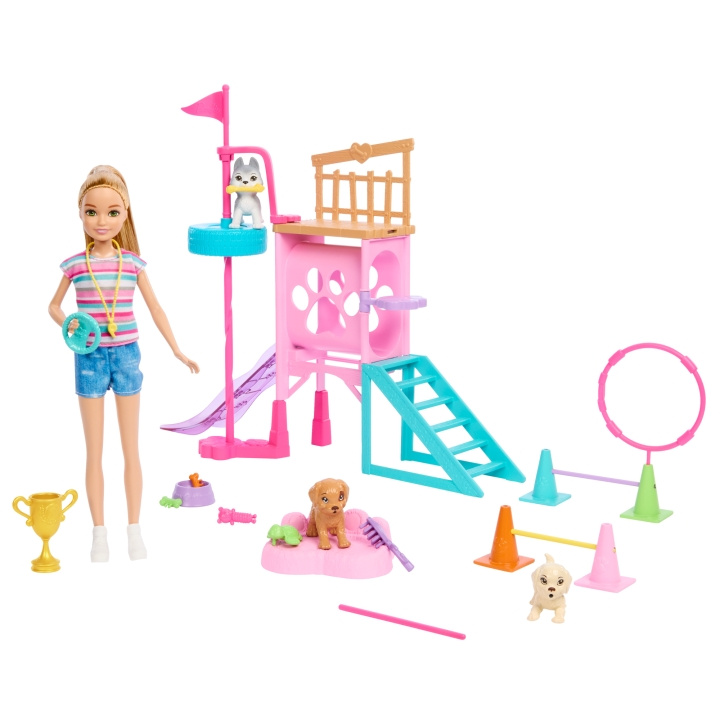 Barbie Stacie\'s Puppy Playground Playset (HRM10) in the group TOYS, KIDS & BABY PRODUCTS / Toys / Docks & Accessories at TP E-commerce Nordic AB (C80818)