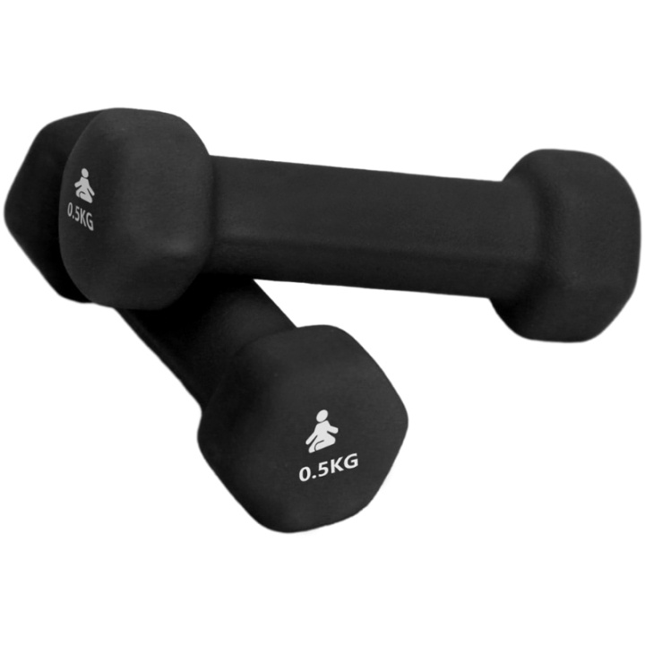 Fitpaddy Premium Dumbbells 2 x 0.5 kg in the group Sport, leisure & Hobby / Exercise equipment / Exercise accessories at TP E-commerce Nordic AB (C82840)