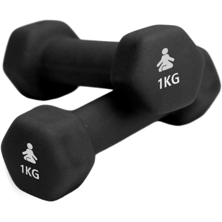 Fitpaddy Premium Dumbbells 2 x 1 kg in the group Sport, leisure & Hobby / Exercise equipment / Exercise accessories at TP E-commerce Nordic AB (C82841)