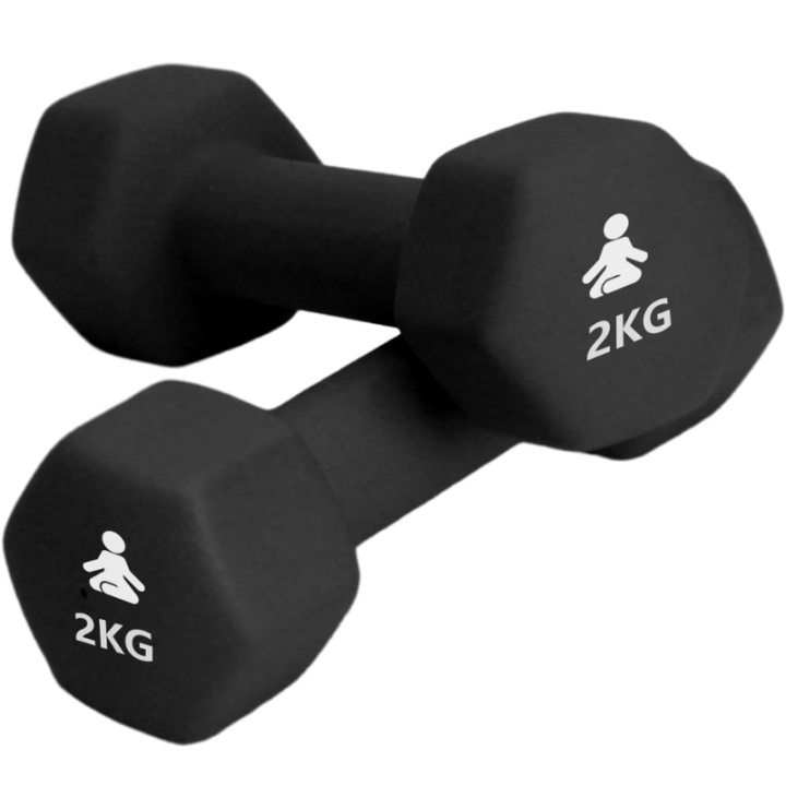 Fitpaddy Premium Dumbbells 2 x 2 kg in the group Sport, leisure & Hobby / Exercise equipment / Exercise accessories at TP E-commerce Nordic AB (C82842)