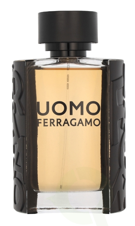 Ferragamo S. Ferragamo Uomo Pour Homme Edt Spray 100 ml in the group BEAUTY & HEALTH / Fragrance & Perfume / Perfumes / Perfume for him at TP E-commerce Nordic AB (C82920)