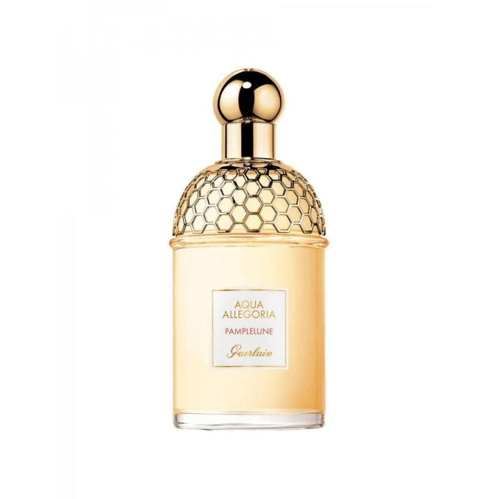 Guerlain Aqua Allegoria Pamplelune EDT 125 ml in the group BEAUTY & HEALTH / Fragrance & Perfume / Perfumes / Perfume for her at TP E-commerce Nordic AB (C84763)