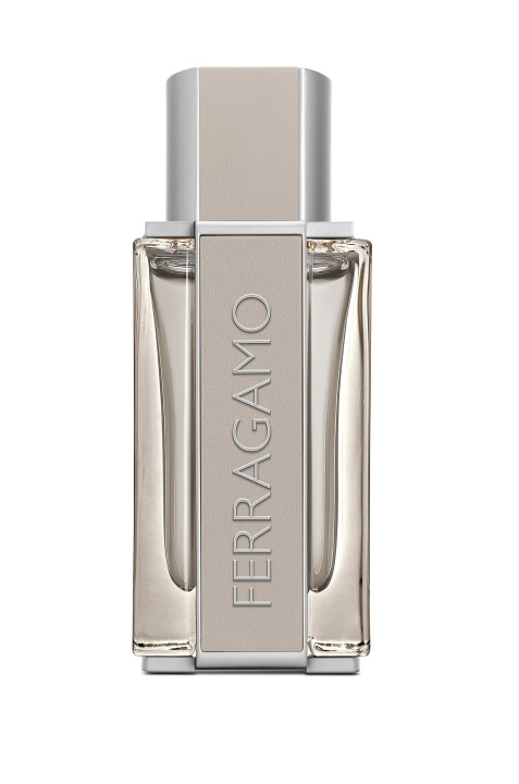 Salvatore Ferragamo Bright Leather EDT 50 ml in the group BEAUTY & HEALTH / Fragrance & Perfume / Perfumes / Perfume for him at TP E-commerce Nordic AB (C84876)