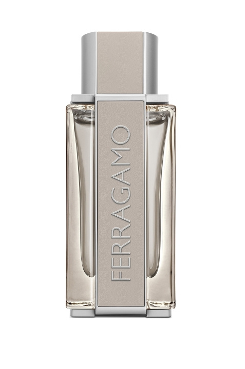 Salvatore Ferragamo Bright Leather EDT 100 ml in the group BEAUTY & HEALTH / Fragrance & Perfume / Perfumes / Perfume for him at TP E-commerce Nordic AB (C84877)