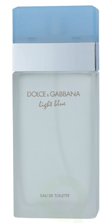 Dolce & Gabbana Light Blue Pour Femme Edt Spray 100 ml in the group BEAUTY & HEALTH / Fragrance & Perfume / Perfumes / Perfume for her at TP E-commerce Nordic AB (C85070)