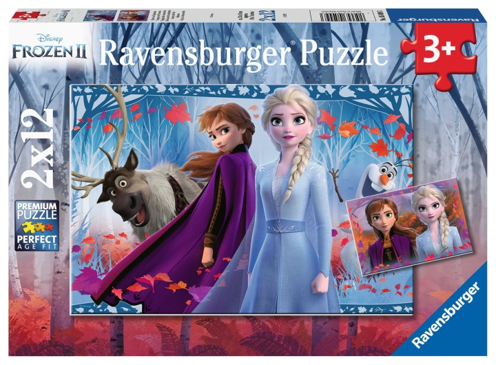 Ravensburger Frozen 2 Journey Into The Unknown 2x12p - 05009 in the group TOYS, KIDS & BABY PRODUCTS / Toys / Puzzles at TP E-commerce Nordic AB (C85765)