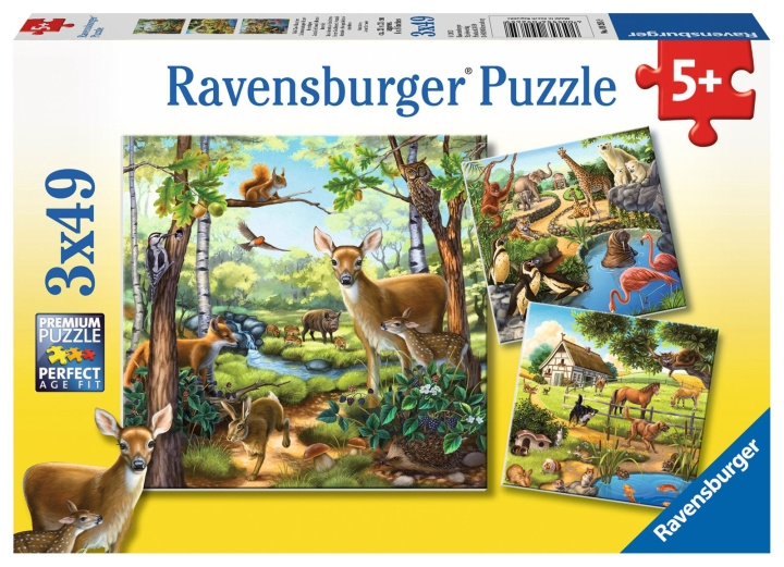 Ravensburger Forest/Zoo/Dom.Animals - 3x49p - 09265 in the group TOYS, KIDS & BABY PRODUCTS / Toys / Puzzles at TP E-commerce Nordic AB (C85776)