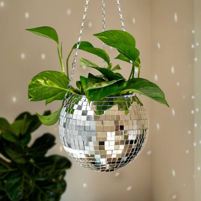 MikaMax FUNKY DISCO PLANTER in the group Sport, leisure & Hobby / Fun stuff / Fun stuff at TP E-commerce Nordic AB (C85828)