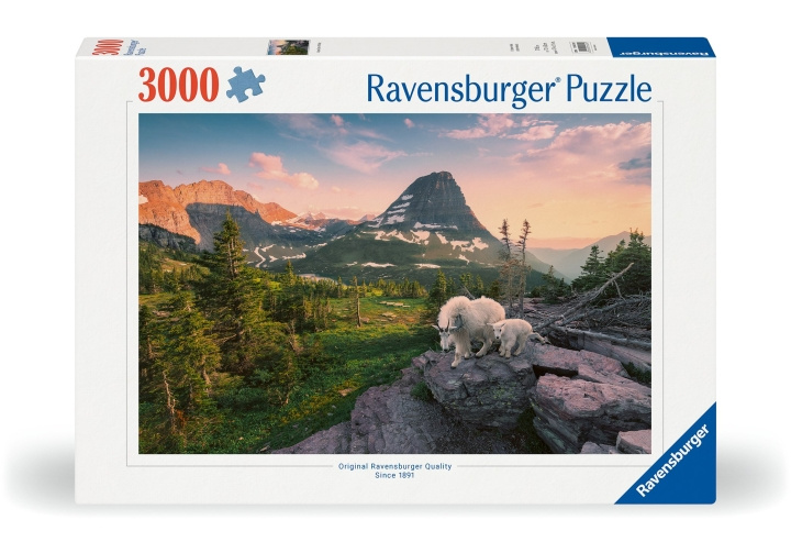 Ravensburger Puzzle Foto City Landscape 3000p (12000809) in the group TOYS, KIDS & BABY PRODUCTS / Toys / Puzzles at TP E-commerce Nordic AB (C86133)