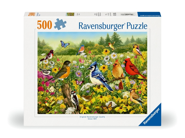 Ravensburger Puzzle Birds in the Meadow 500p (12000336) in the group TOYS, KIDS & BABY PRODUCTS / Toys / Puzzles at TP E-commerce Nordic AB (C86444)