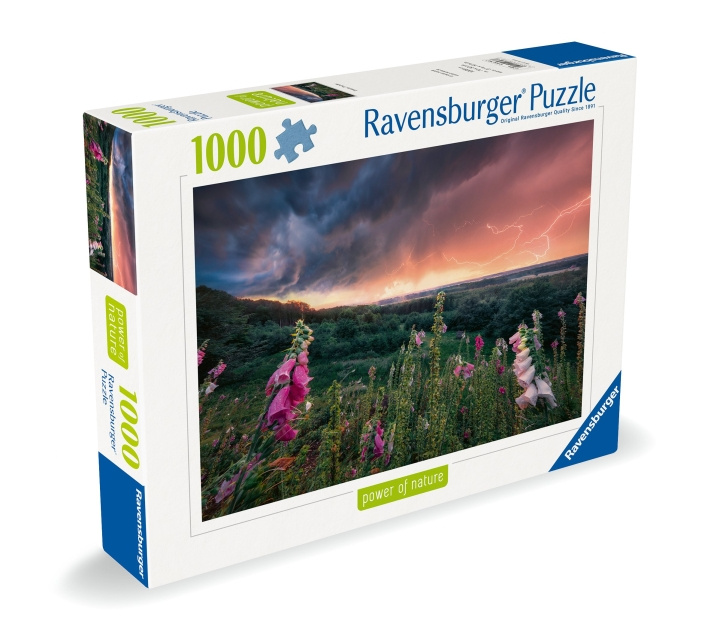 Ravensburger Puzzle Dreamy Thunder 1000p (12000793) in the group TOYS, KIDS & BABY PRODUCTS / Toys / Puzzles at TP E-commerce Nordic AB (C86531)