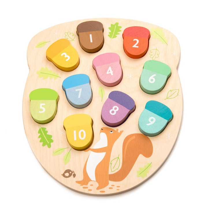 Tender Leaf Learning Numbers - How Many Acorns - (TL8415) in the group TOYS, KIDS & BABY PRODUCTS / Toys / Draw & Count at TP E-commerce Nordic AB (C87270)