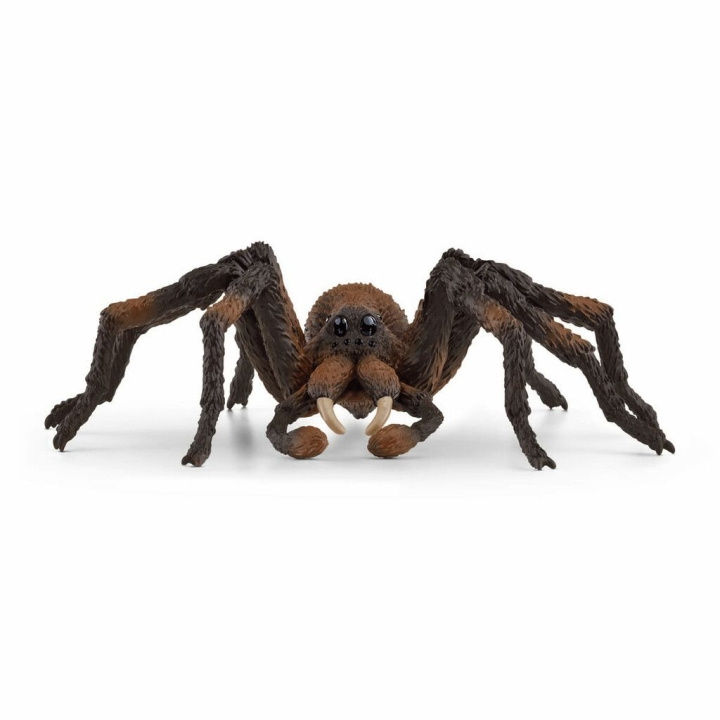 Schleich Harry Potter - Aragog (13987) in the group TOYS, KIDS & BABY PRODUCTS / Toys / Figures, Miniatures & accessories at TP E-commerce Nordic AB (C87595)