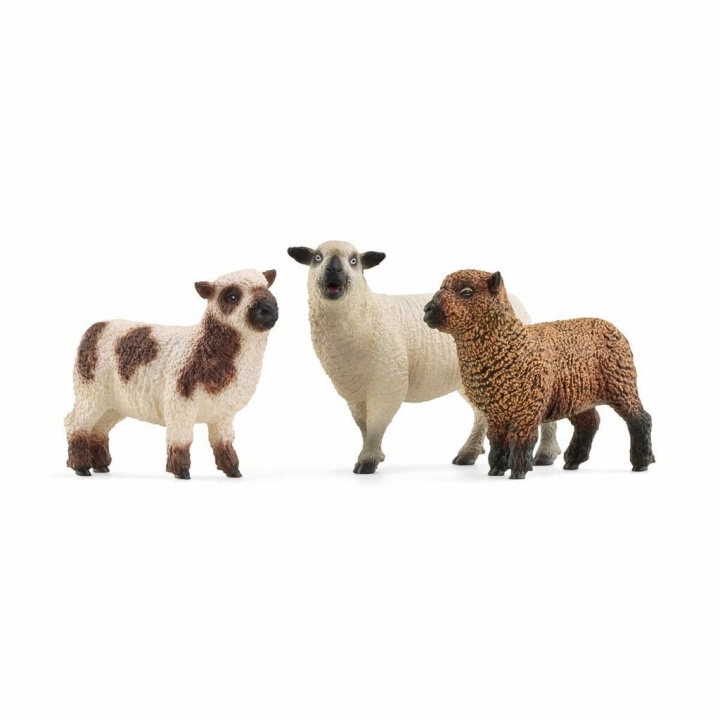 Schleich Farm World - Sheep Friends (42660) in the group TOYS, KIDS & BABY PRODUCTS / Toys / Figures, Miniatures & accessories at TP E-commerce Nordic AB (C87712)