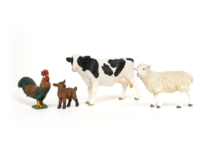 Schleich Farm World - Farm Starter Set (42729) in the group TOYS, KIDS & BABY PRODUCTS / Toys / Play set at TP E-commerce Nordic AB (C87894)