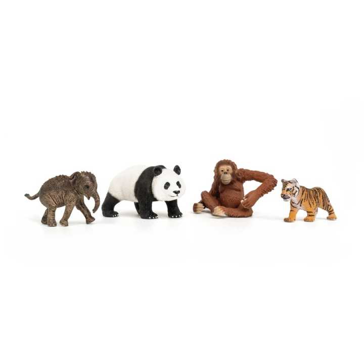 Schleich Wild Life - Asia Starter Set (42736) in the group TOYS, KIDS & BABY PRODUCTS / Toys / Play set at TP E-commerce Nordic AB (C87908)