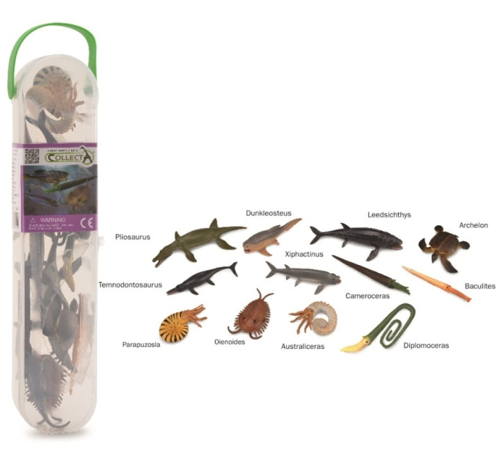 CollectA Mini Prehistoric Marine Animals Giftset (COL01104) in the group TOYS, KIDS & BABY PRODUCTS / Toys / Figures, Miniatures & accessories at TP E-commerce Nordic AB (C88755)