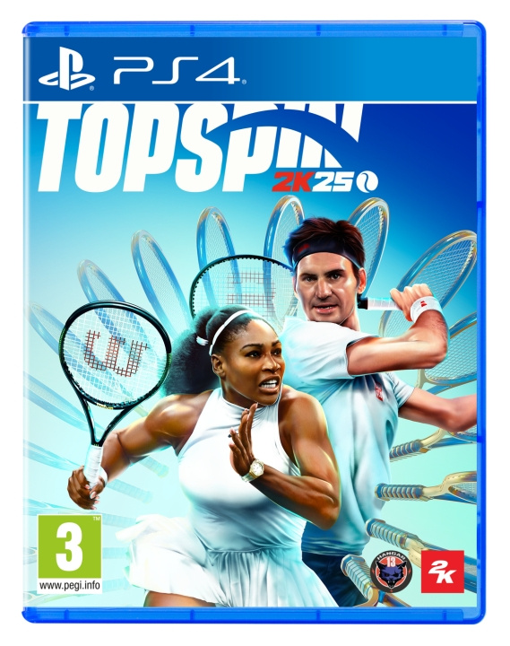 2K Games TopSpin 2K25 in the group HOME ELECTRONICS / Game consoles & Accessories / Sony PlayStation 4 / Games at TP E-commerce Nordic AB (C88789)